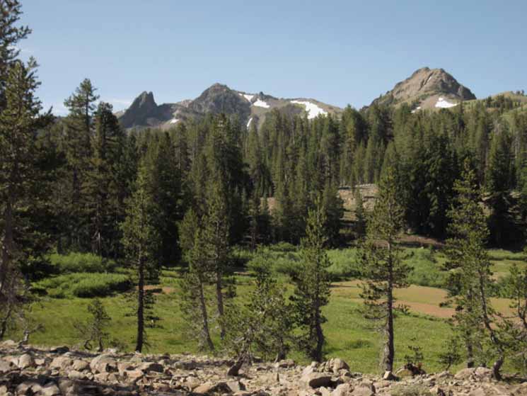 Shark tooth shaped ridge behind meadow.